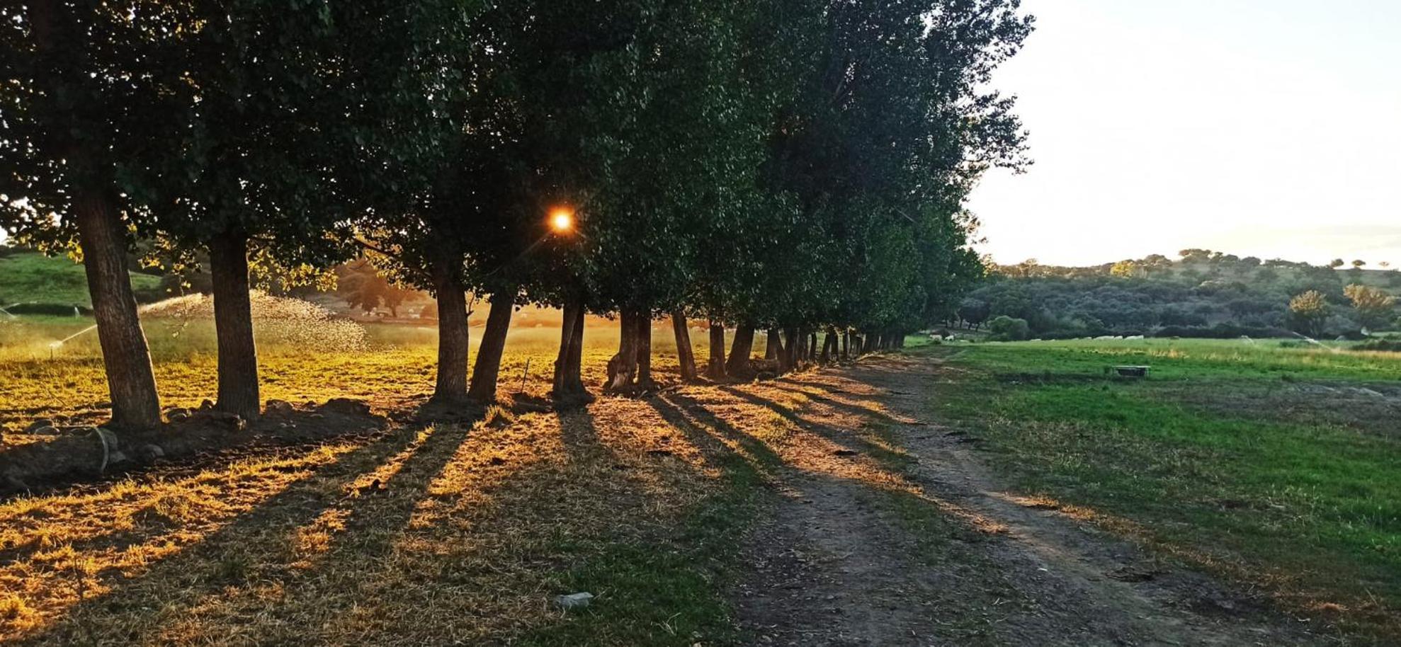 Montehermoso Casa Rural Finca San Bernardo 3 Estrellas מראה חיצוני תמונה